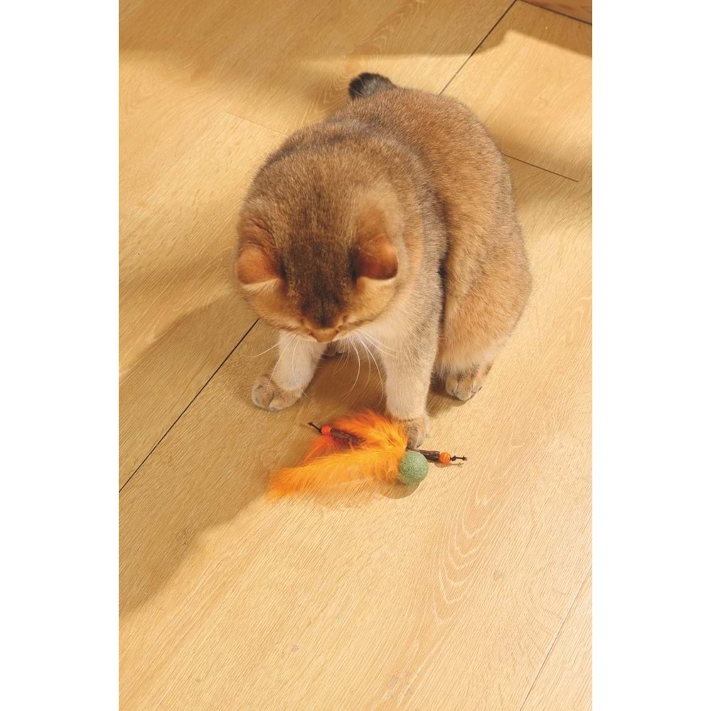 20640899 M-PETS CHARMY BUGBEAR CATNİPLİ KEDİ OYUNCAĞI ORANGE