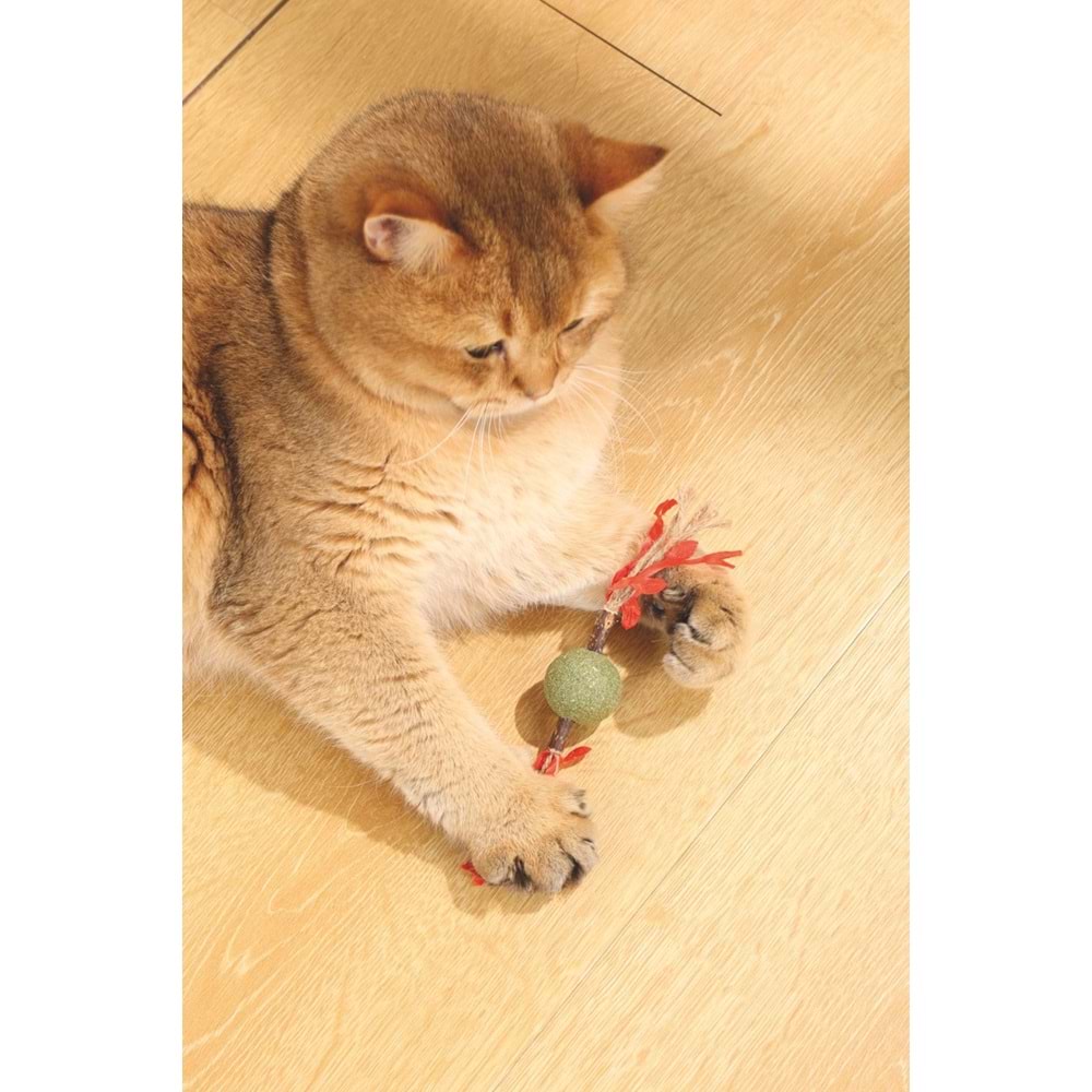 20641099 M-PETS CHARMY BRANCY CATNİPLİ KEDİ OYUNCAĞI RED