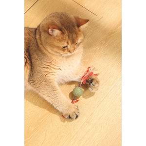 20641099 M-PETS CHARMY BRANCY CATNİPLİ KEDİ OYUNCAĞI RED