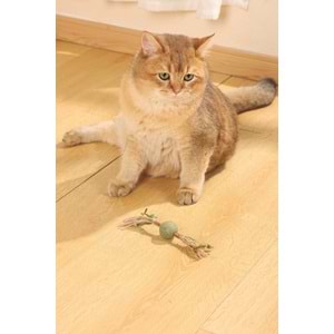 20641199 M-PETS CHARMY BRANCY CATNİPLİ KEDİ OYUNCAĞI GREEN