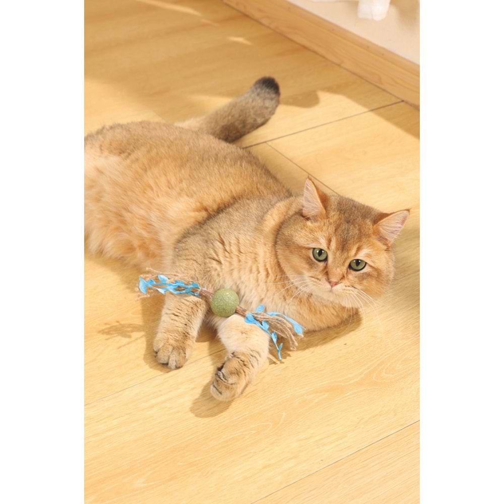 20641299 M-PETS CHARMY BRANCY CATNİPLİ KEDİ OYUNCAĞI BLUE