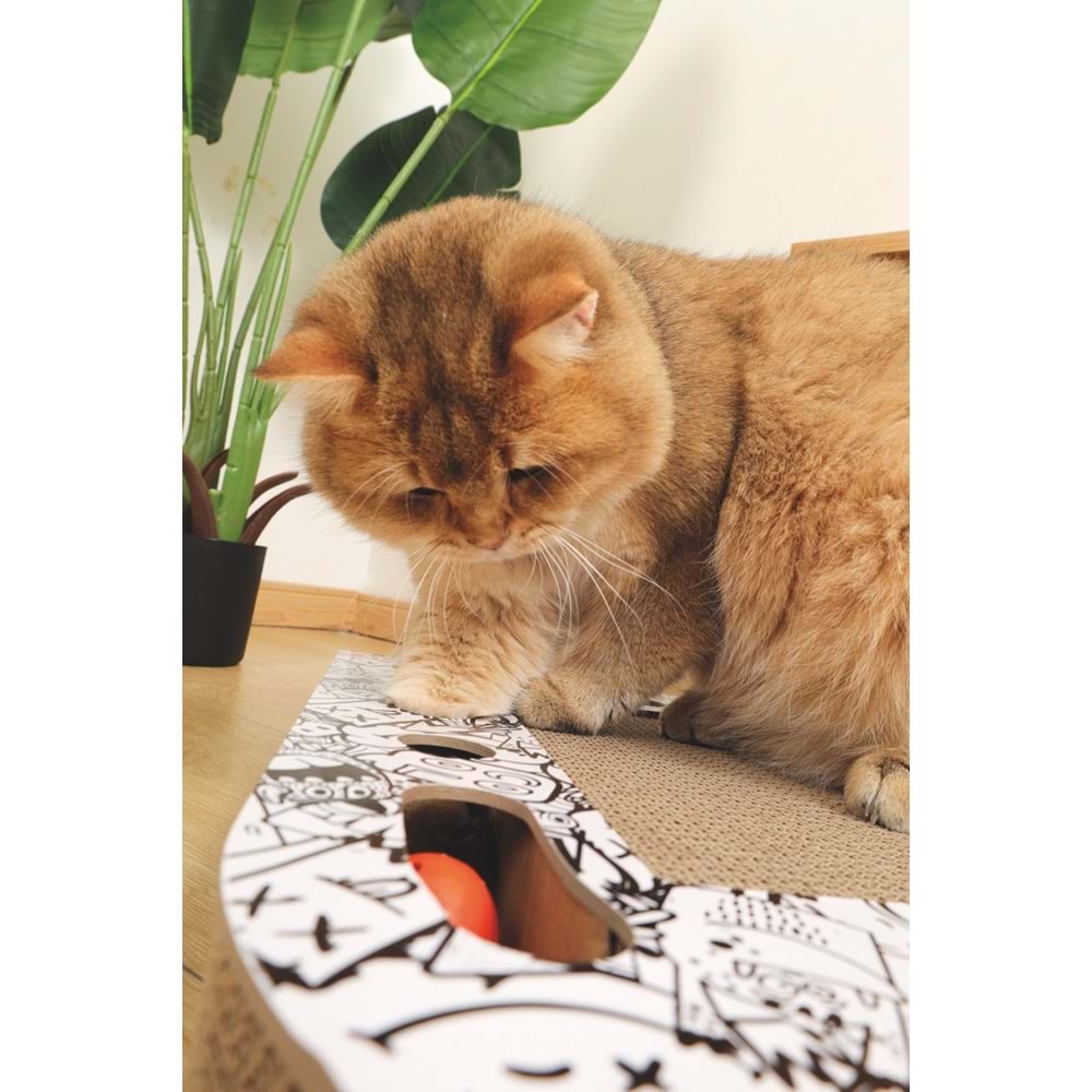 20641899 M-PETS URBAN STYLE FREESTYLE KARTON TIRMALAMA BLACK/WHİTE
