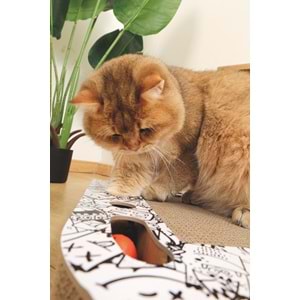 20641899 M-PETS URBAN STYLE FREESTYLE KARTON TIRMALAMA BLACK/WHİTE