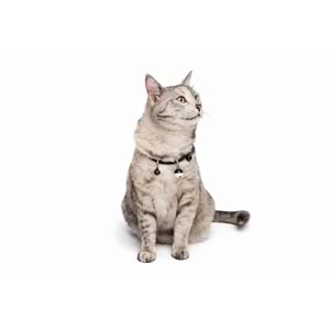 20800499 M-PETS PIXIE KEDİ BOYUN ZİLLİ TASMASI BLACK