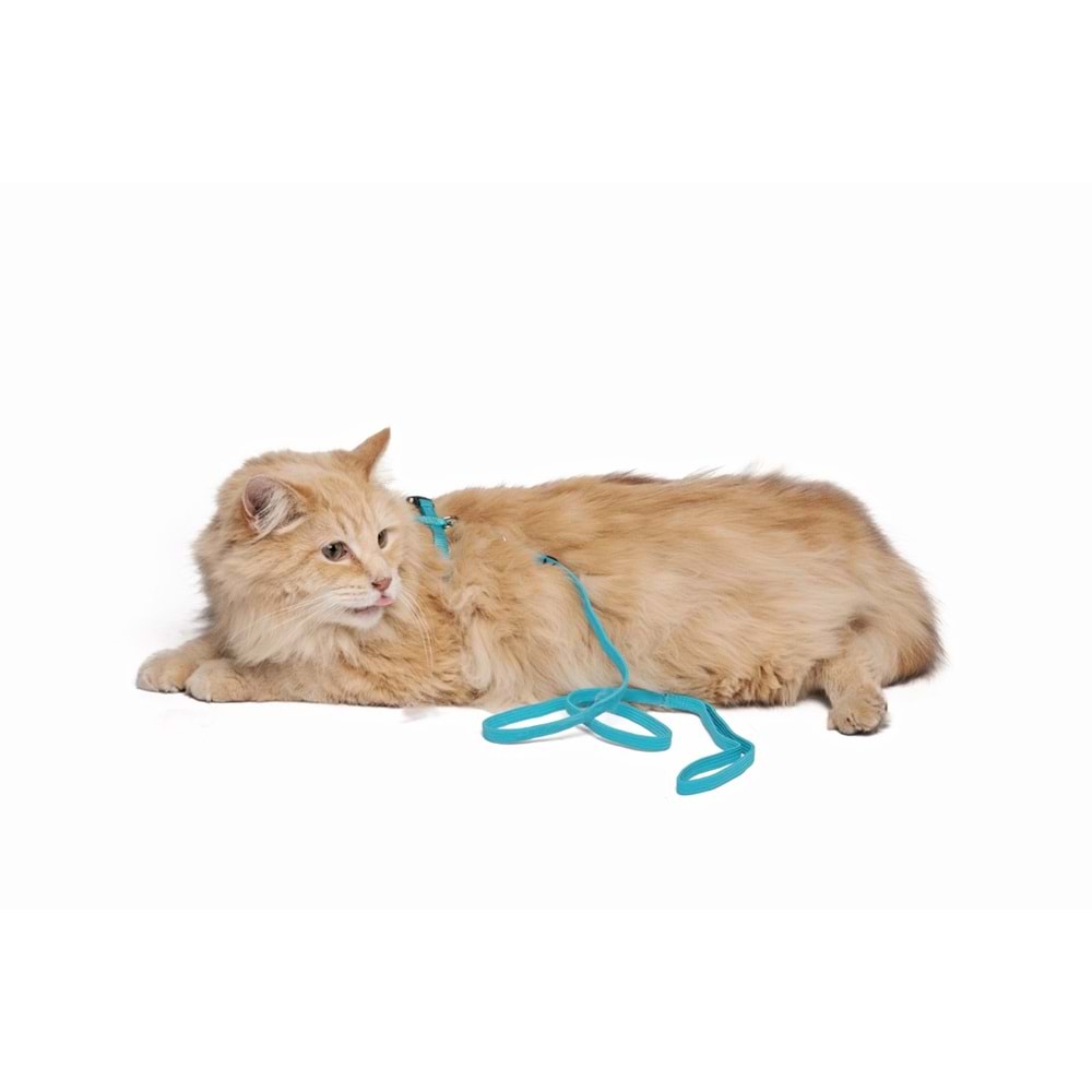 20801099 M-PETS CATOGO KEDİ GÖĞÜS TASMASI+GEZDİRME SETİ BLUE