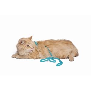20801099 M-PETS CATOGO KEDİ GÖĞÜS TASMASI+GEZDİRME SETİ BLUE
