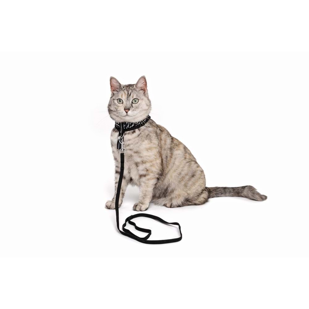20801199 M-PETS LETSGO KEDİ GÖĞÜS TASMASI+GEZDİRME BLACK/WHİTE