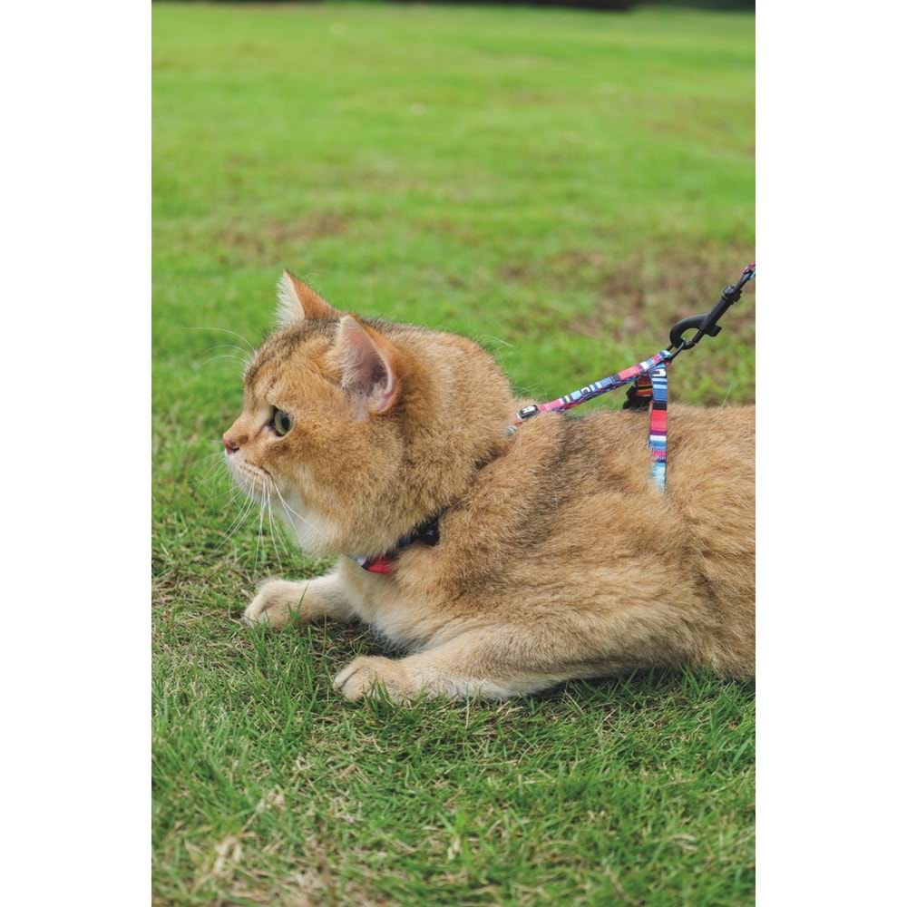 20801499 M-PETS URBAN STYLE JAZZ STRIPES KEDİ GÖĞÜS TASMASI SET