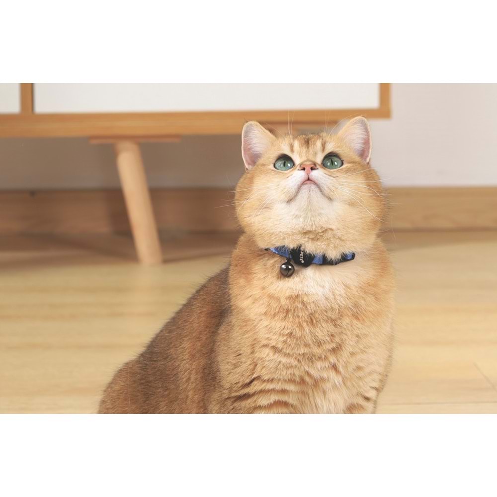 20802499 M-PETS GENTLE CAT BOYUN TASMASI BLUE