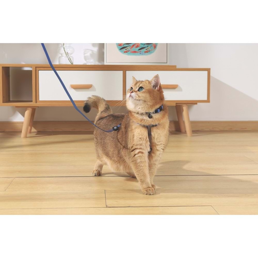 20802499 M-PETS GENTLE CAT BOYUN TASMASI BLUE