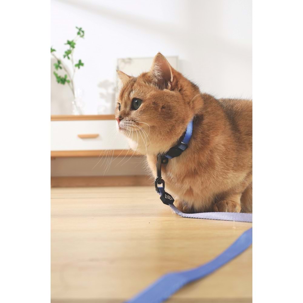 20802499 M-PETS GENTLE CAT BOYUN TASMASI BLUE