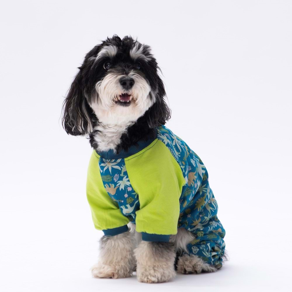 23928-PAWSTAR DİNOSAUR PİJAMA TULUM 5Lİ SET(M-L-XL-XL-2XL)