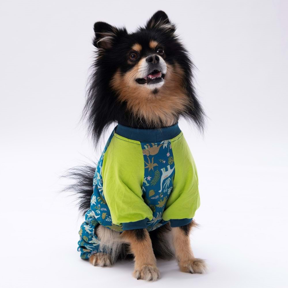 23928-PAWSTAR DİNOSAUR PİJAMA TULUM 5Lİ SET(M-L-XL-XL-2XL)