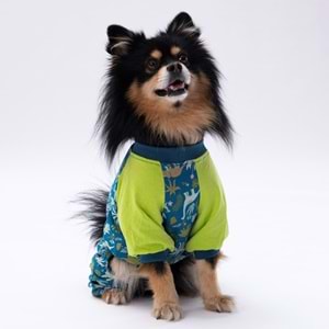 23928-PAWSTAR DİNOSAUR PİJAMA TULUM 5Lİ SET(M-L-XL-XL-2XL)