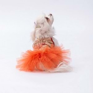 24312-PAWSTAR BEJ GİRL POWER ELBİSE 5Lİ SET(S-M-L-L-XL)