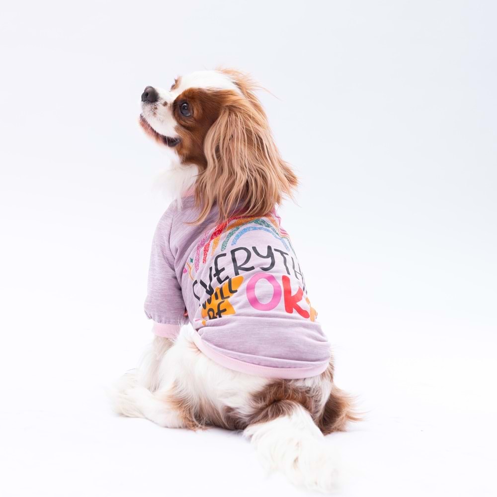 24714-PAWSTAR LİLA EVERYTHING SWEAT 5Lİ SET(M-L-XL-XL-2XL)