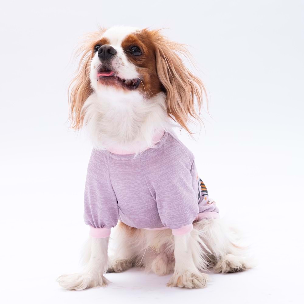 24714-PAWSTAR LİLA EVERYTHING SWEAT 5Lİ SET(M-L-XL-XL-2XL)