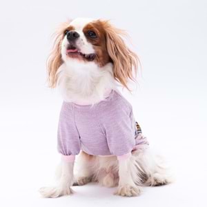 24714-PAWSTAR LİLA EVERYTHING SWEAT 5Lİ SET(M-L-XL-XL-2XL)