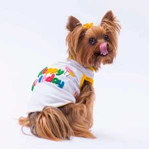 24823-PAWSTAR HAPPY BİRTHDAY TİŞÖRT 6LI SET (S-M-L-L-XL-2XL)