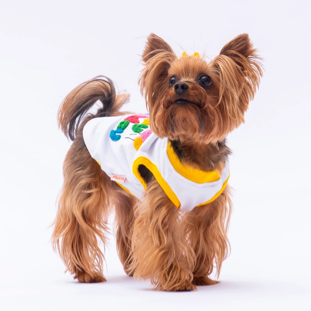 24823-PAWSTAR HAPPY BİRTHDAY TİŞÖRT 6LI SET (S-M-L-L-XL-2XL)