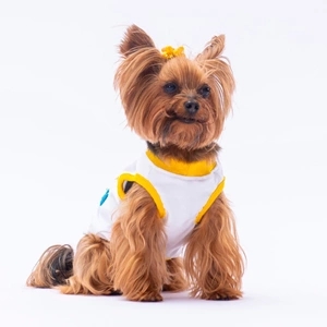 24823-PAWSTAR HAPPY BİRTHDAY TİŞÖRT 6LI SET (S-M-L-L-XL-2XL)