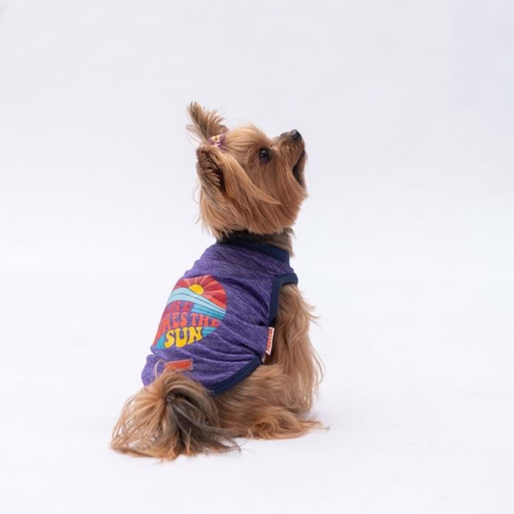 24833-PAWSTAR MOR THE SUN TİŞÖRT 6LI SET(S-M-L-L-XL-2XL)