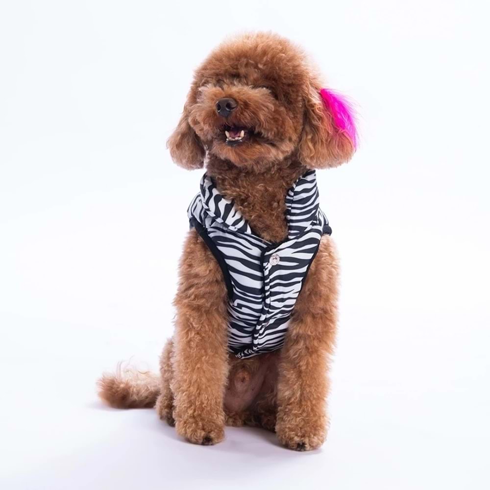 25107-PAWSTAR LODWAR STREET YELEK 5Lİ SET M-L-L-XL-2XL