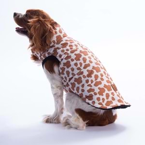 25108-PAWSTAR MOSHI MOOD YELEK 5Lİ SET M-L-L-XL-2XL