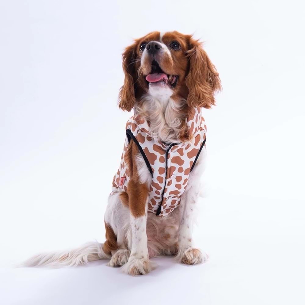 25108-PAWSTAR MOSHI MOOD YELEK 5Lİ SET M-L-L-XL-2XL