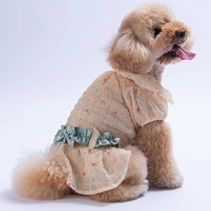 25301-PAWSTAR SARI VALENCİA ELBİSE 5Lİ SET (S-M-L-XL-2XL)