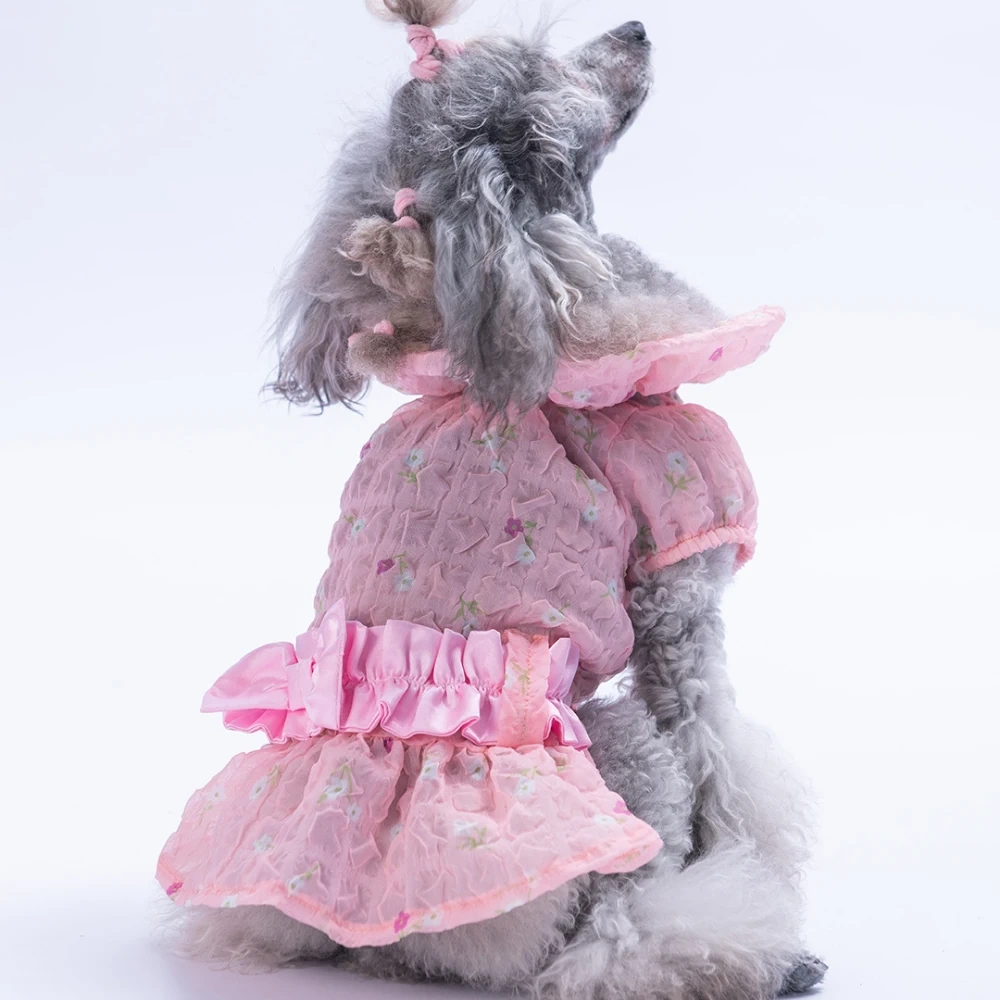 25302-PAWSTAR PEMBE VALENCİA ELBİSE 5Lİ SET (S-M-L-XL-2XL)