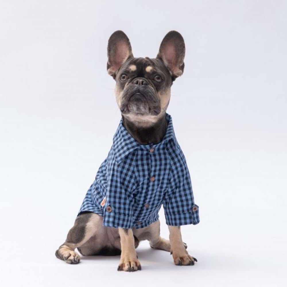25402-PAWSTAR MAVİ LUSS GÖMLEK 5Lİ SET(M-L-L-XL-2XL)
