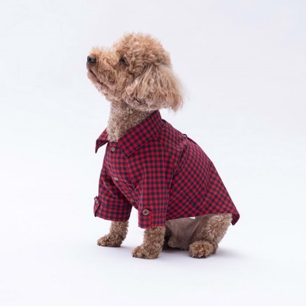 25403-PAWSTAR KIRMIZI LUSS GÖMLEK 5Lİ SET(M-L-L-XL-2XL)