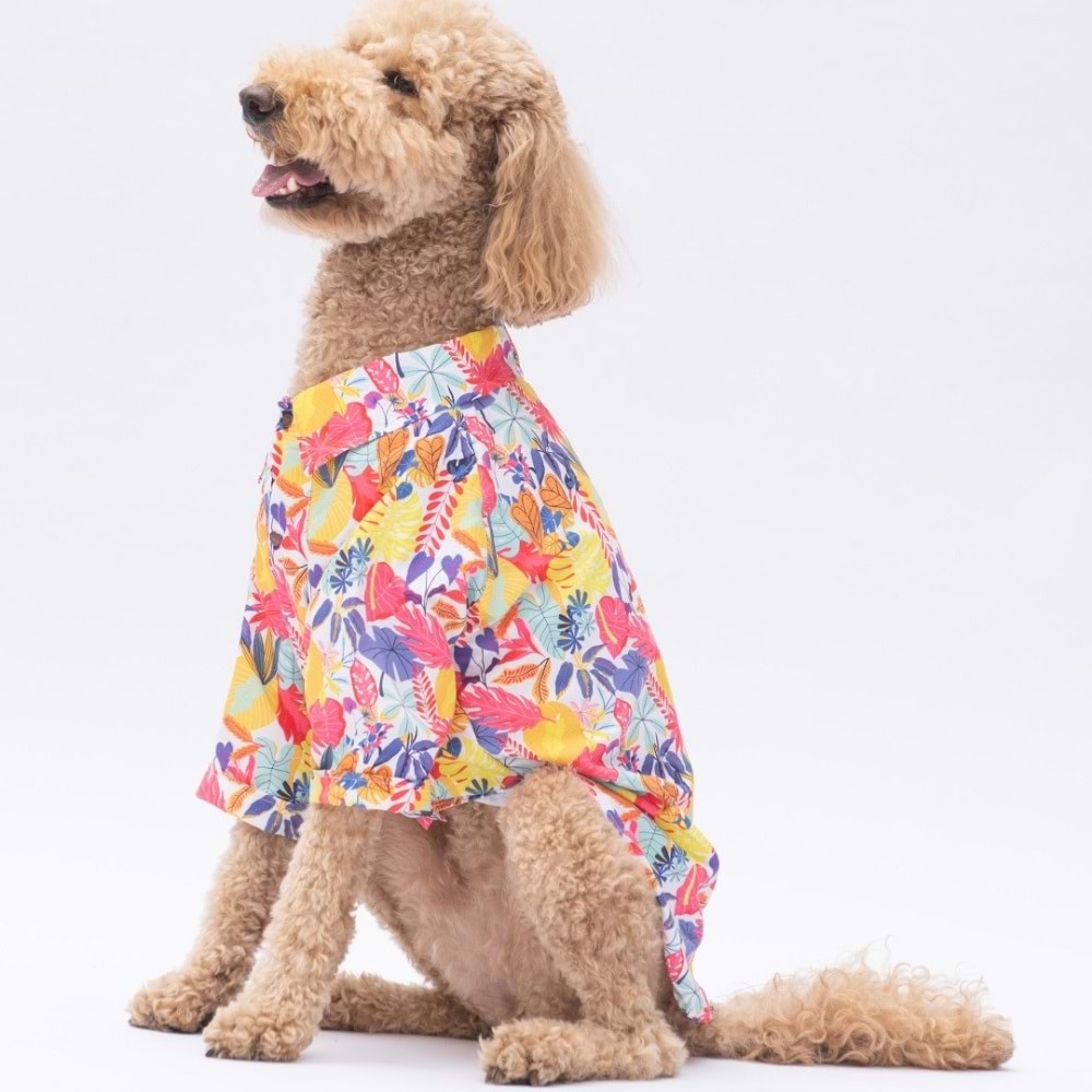 25404-PAWSTAR MİAMİ DESENLİ GÖMLEK 5Lİ SET (M-L-L-XL-2XL)