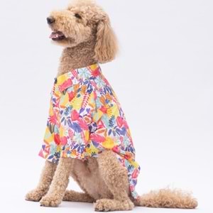 25404-PAWSTAR MİAMİ DESENLİ GÖMLEK 5Lİ SET (M-L-L-XL-2XL)