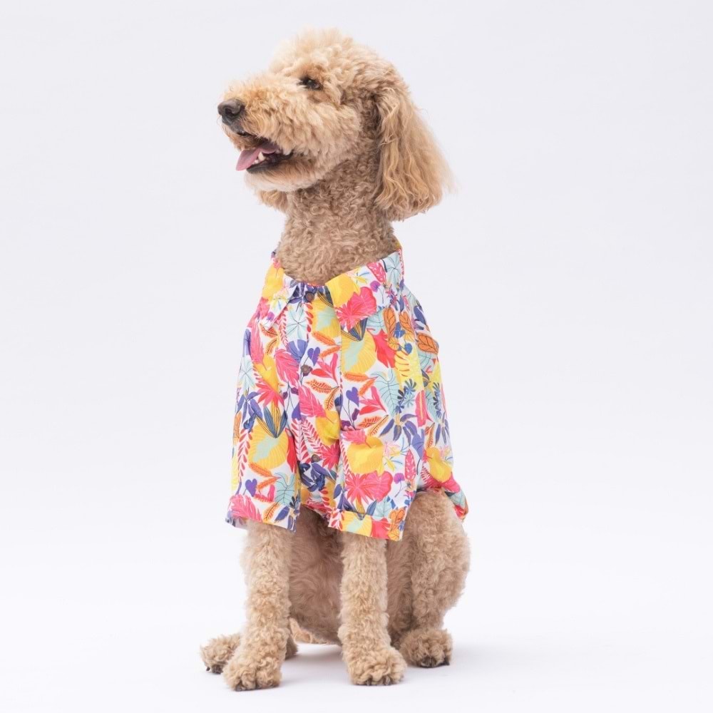 25404-PAWSTAR MİAMİ DESENLİ GÖMLEK 5Lİ SET (M-L-L-XL-2XL)