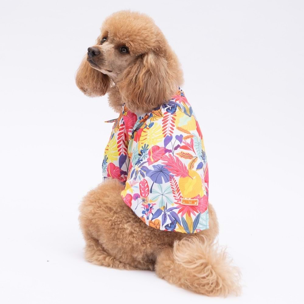 25404-PAWSTAR MİAMİ DESENLİ GÖMLEK 5Lİ SET (M-L-L-XL-2XL)