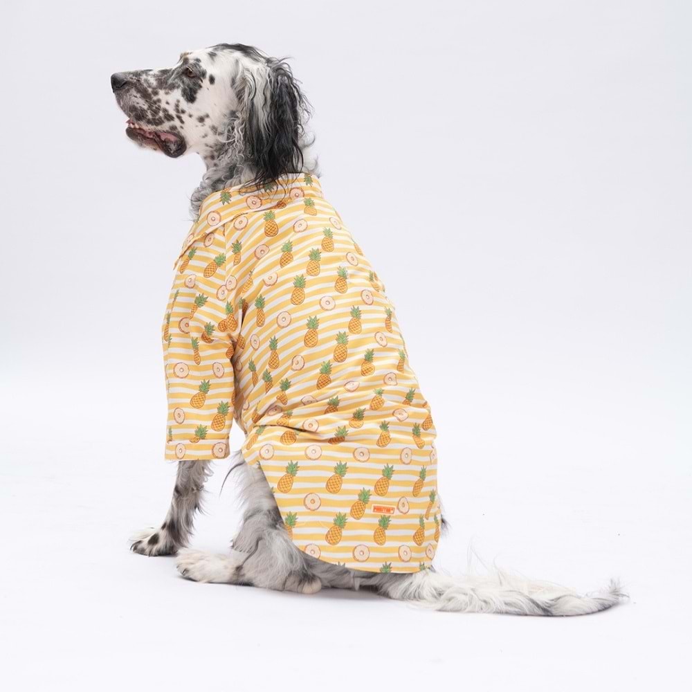 25405-PAWSTAR PANAMA CİTY DESENLİ GÖMLEK 5Lİ SET (M-L-L-XL-2XL)