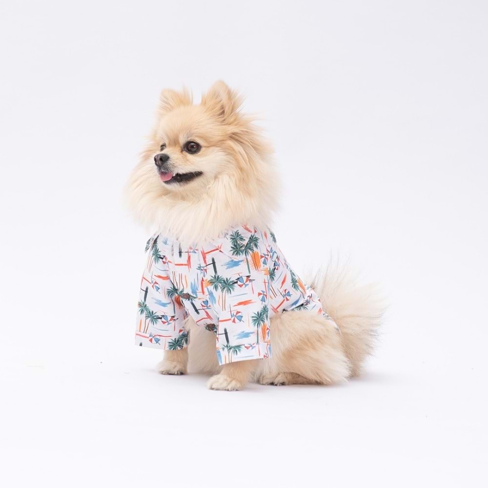 25406-PAWSTAR PALM BEACH DESENLİ GÖMLEK 5Lİ SET (M-L-L-XL-2XL)