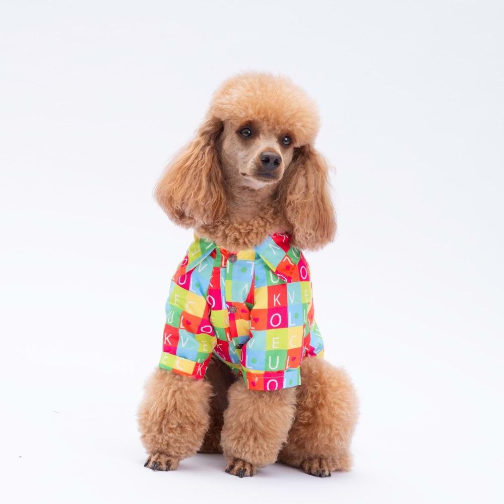 25407-PAWSTAR SARASOTA DESENLİ GÖMLEK 5Lİ SET (M-L-L-XL-2XL)