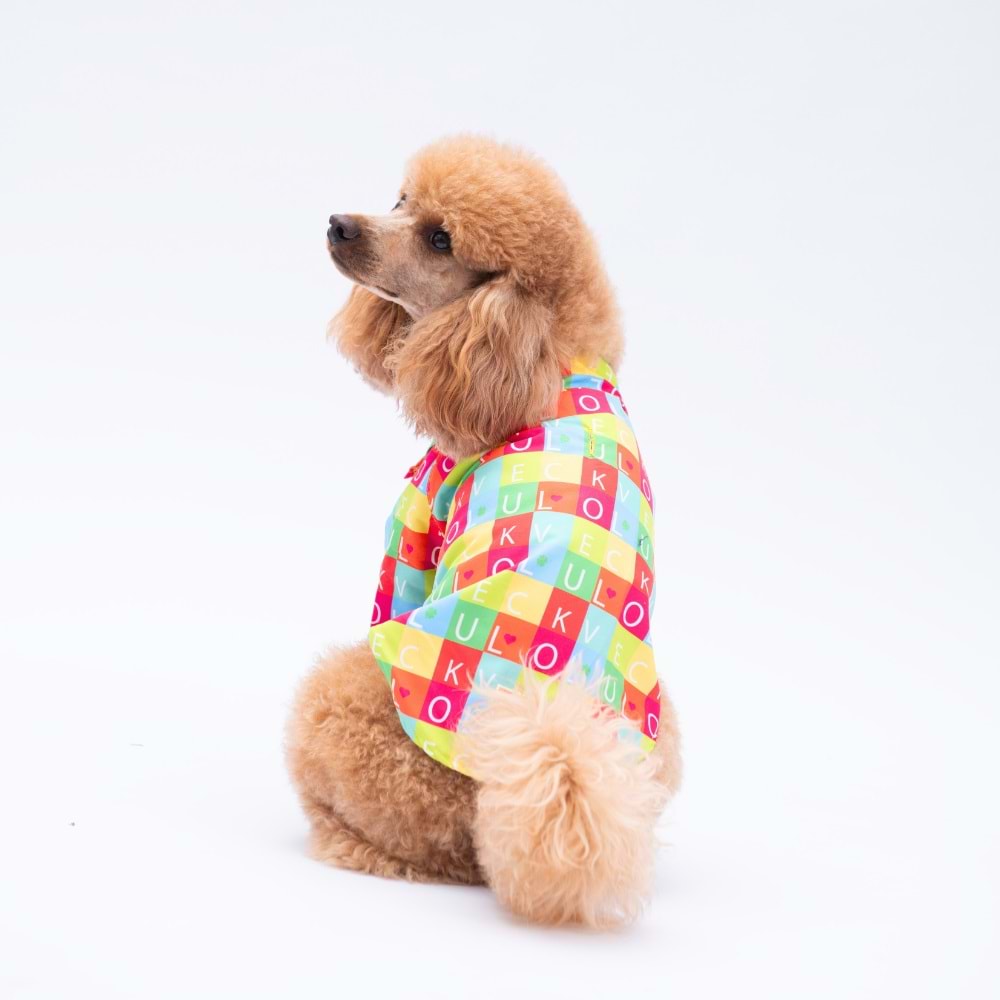 25407-PAWSTAR SARASOTA DESENLİ GÖMLEK 5Lİ SET (M-L-L-XL-2XL)