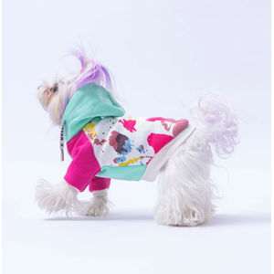 25701-PAWSTAR MINT RIO HOODIE 5Lİ SET M-L-L-XL-2XL