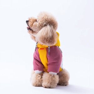 25703-PAWSTAR SARI RIO HOODIE 5Lİ SET M-L-L-XL-2XL