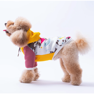 25703-PAWSTAR SARI RIO HOODIE 5Lİ SET M-L-L-XL-2XL