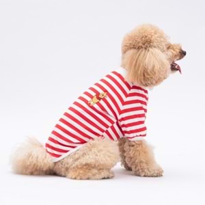 25704-PAWSTAR KIRMIZI WİNNİE SWEAT 5Lİ SET (M-L-L-XL-2XL)