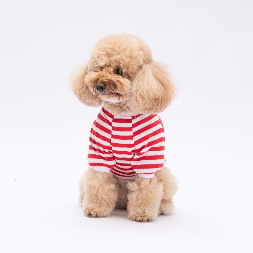 25704-PAWSTAR KIRMIZI WİNNİE SWEAT 5Lİ SET (M-L-L-XL-2XL)