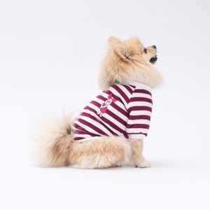 25705-PAWSTAR MOR PİGLET SWEAT 5Lİ SET (M-L-L-XL-2XL)