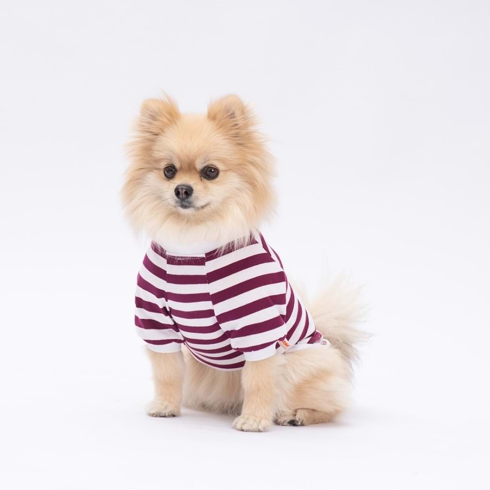 25705-PAWSTAR MOR PİGLET SWEAT 5Lİ SET (M-L-L-XL-2XL)