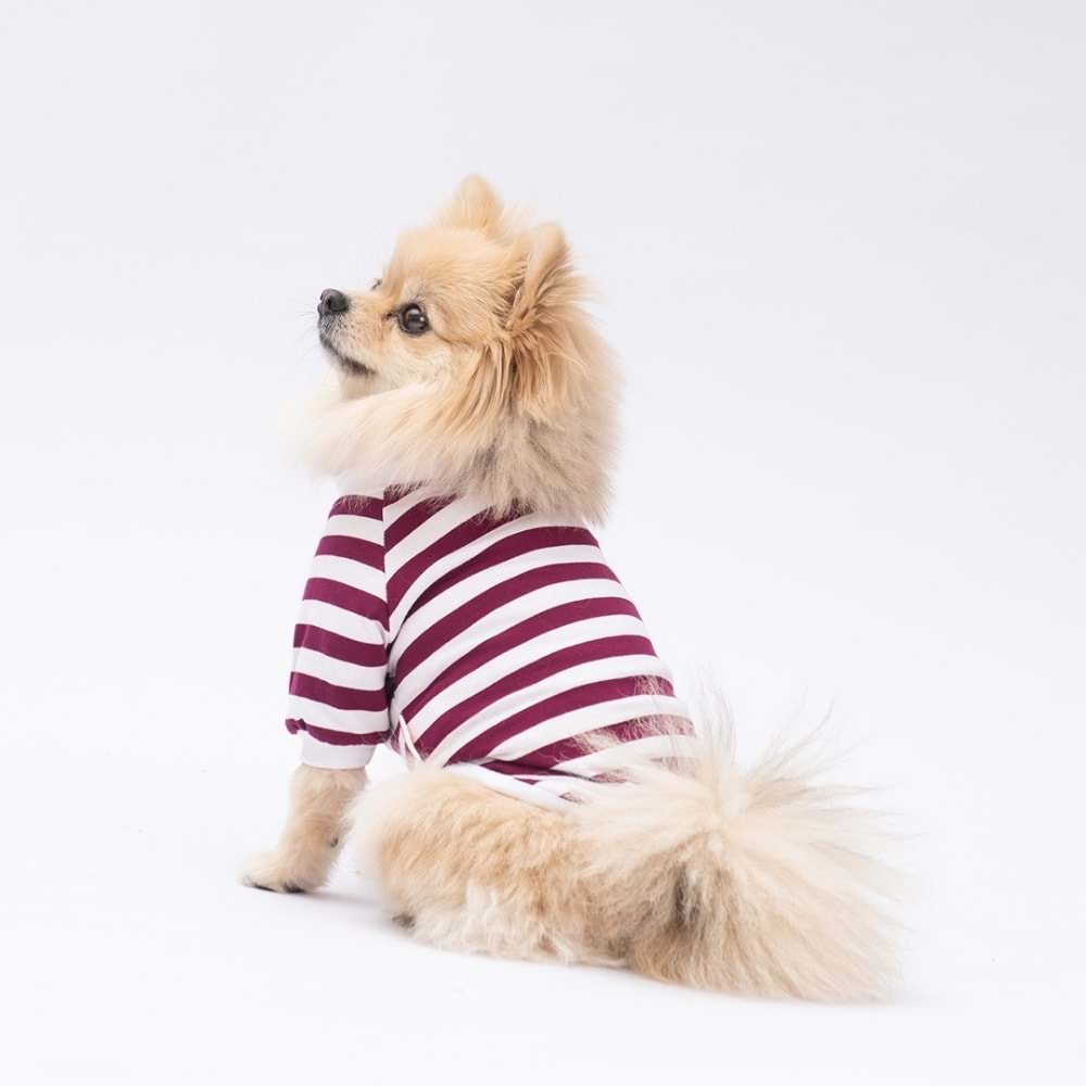 25705-PAWSTAR MOR PİGLET SWEAT 5Lİ SET (M-L-L-XL-2XL)