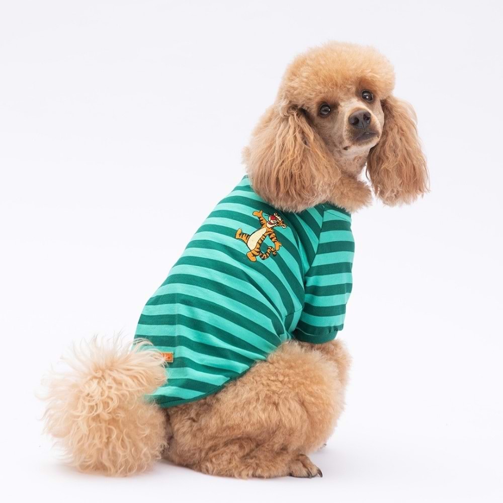 25707-PAWSTAR YEŞİL TİGGER SWEAT 5Lİ SET (M-L-L-XL-2XL)